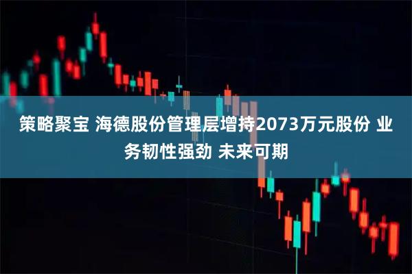 策略聚宝 海德股份管理层增持2073万元股份 业务韧性强劲 未来可期