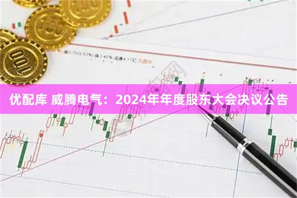优配库 威腾电气：2024年年度股东大会决议公告